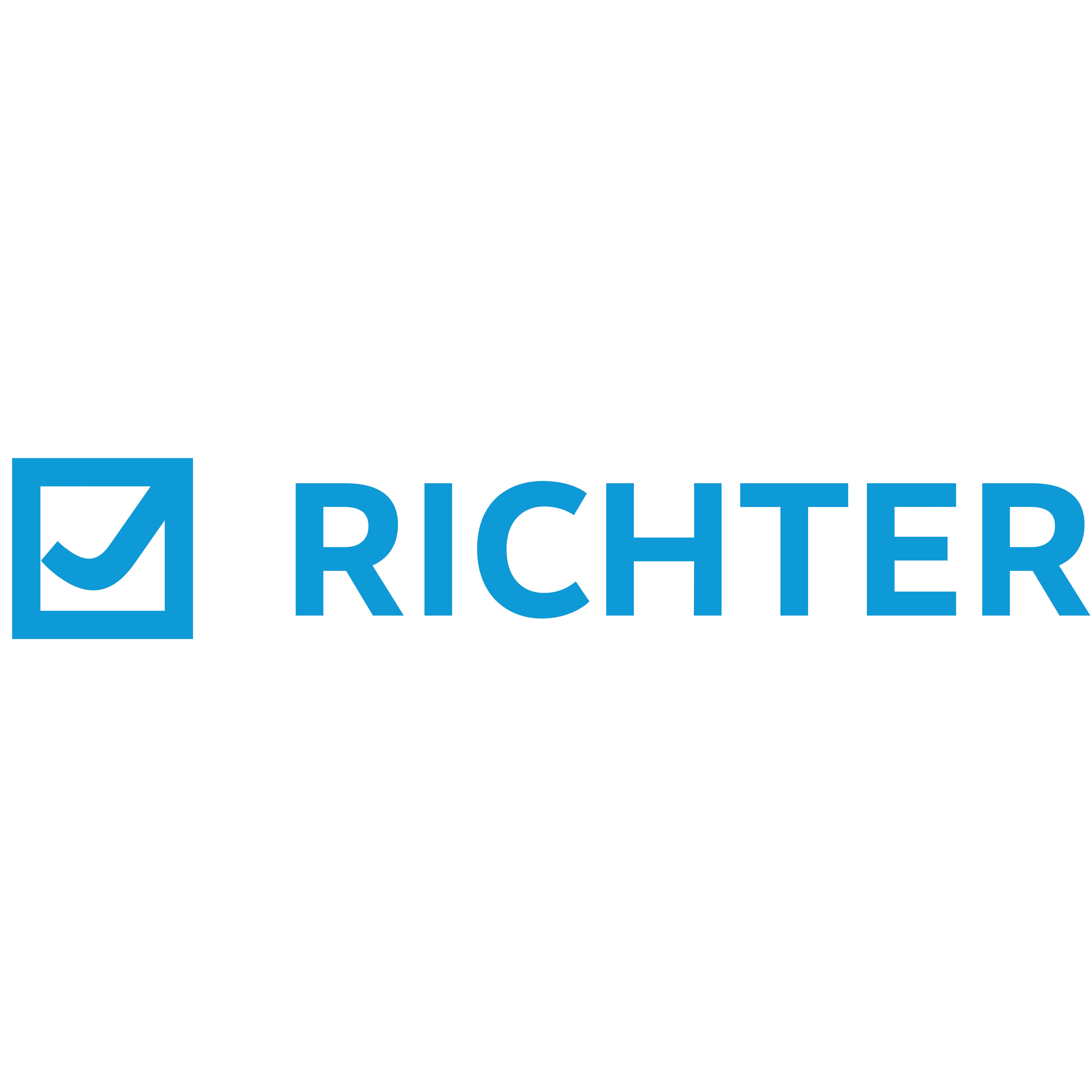 Logo Richter Elektrotechnik GmbH & Co. KG