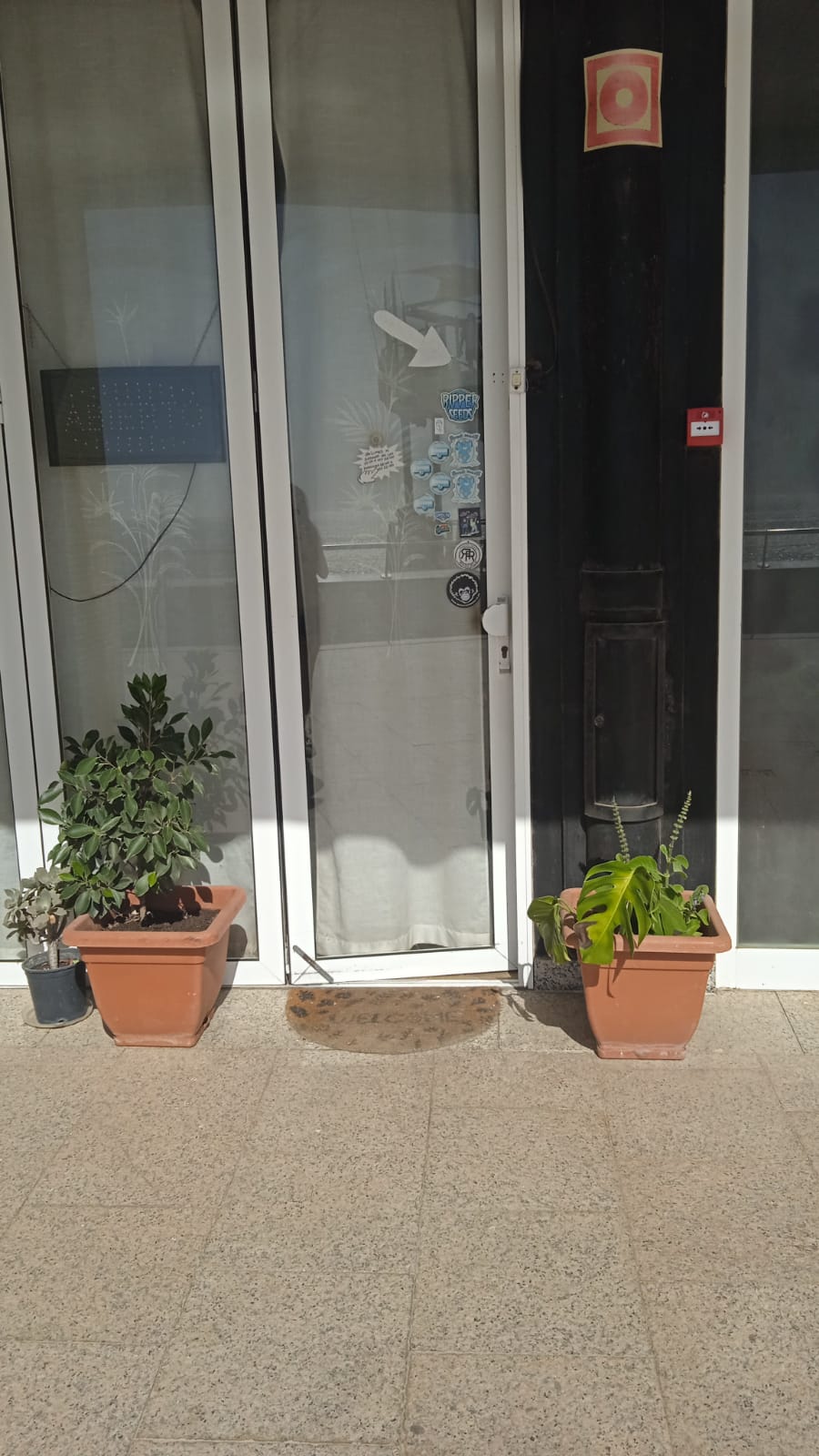 Images Willy Cannabis Weed Social Club Meloneras Maspalomas