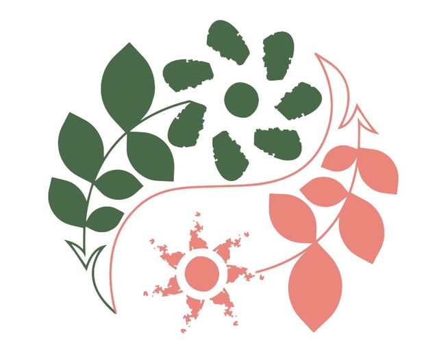 Images Resilient Mind Integrative Psychotherapy, PLLC