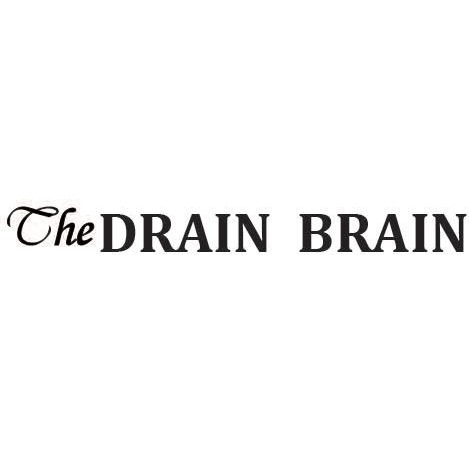 The Drain Brain of NY & PA Logo