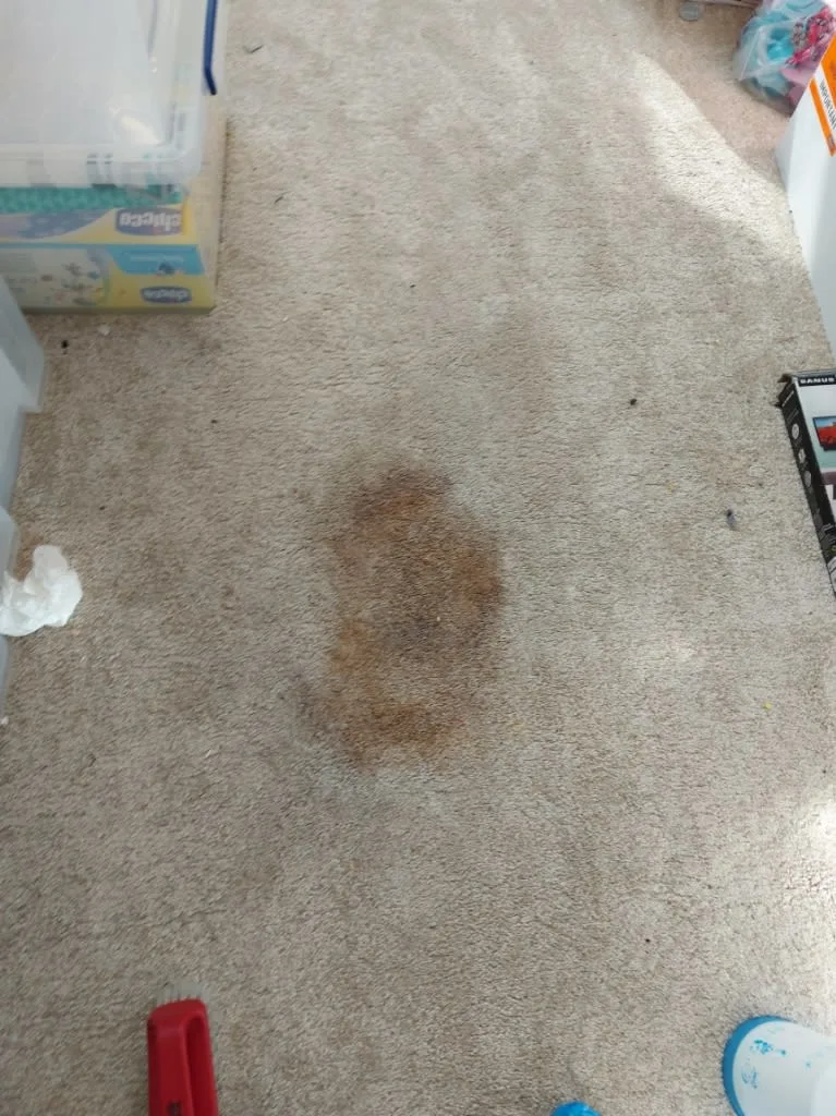 Images Titanium Cleaning