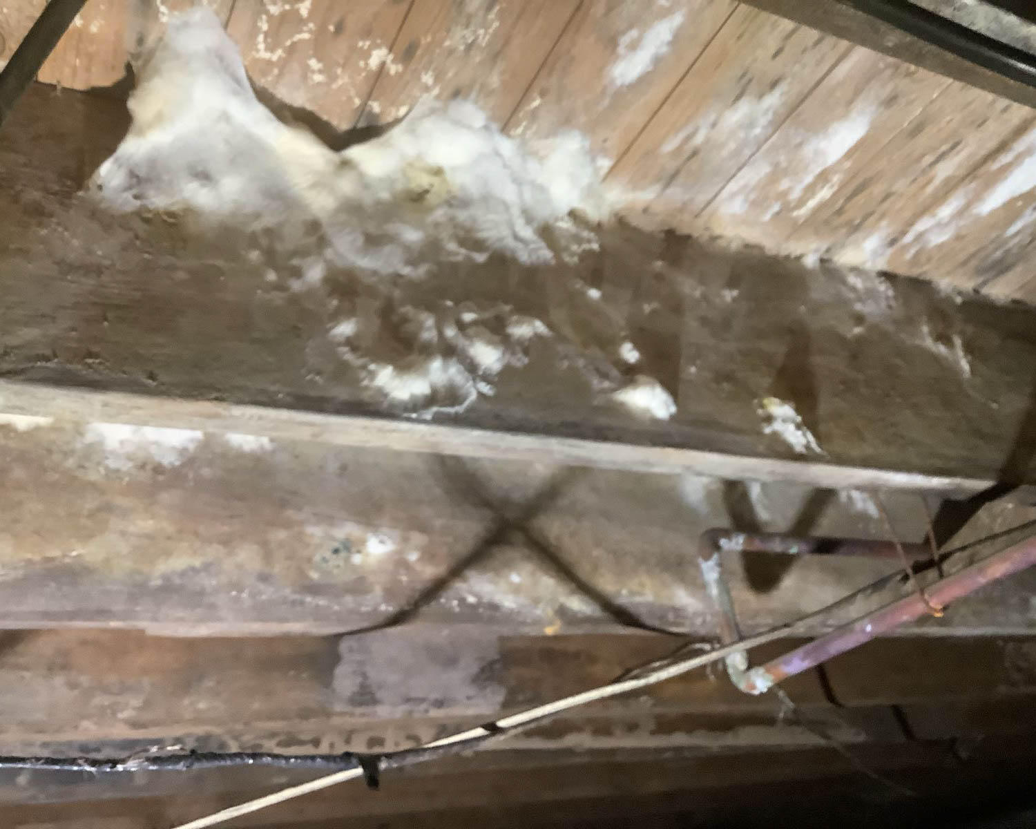 Mold is more likely to grow in unexpected places after water damage. If you ignore the mold, it may spread and continue to grow. SERVPRO of  North East Chester County is your best choice for all of your mold cleanup and remediation needs in Kimberton, PA. Give us a call today!