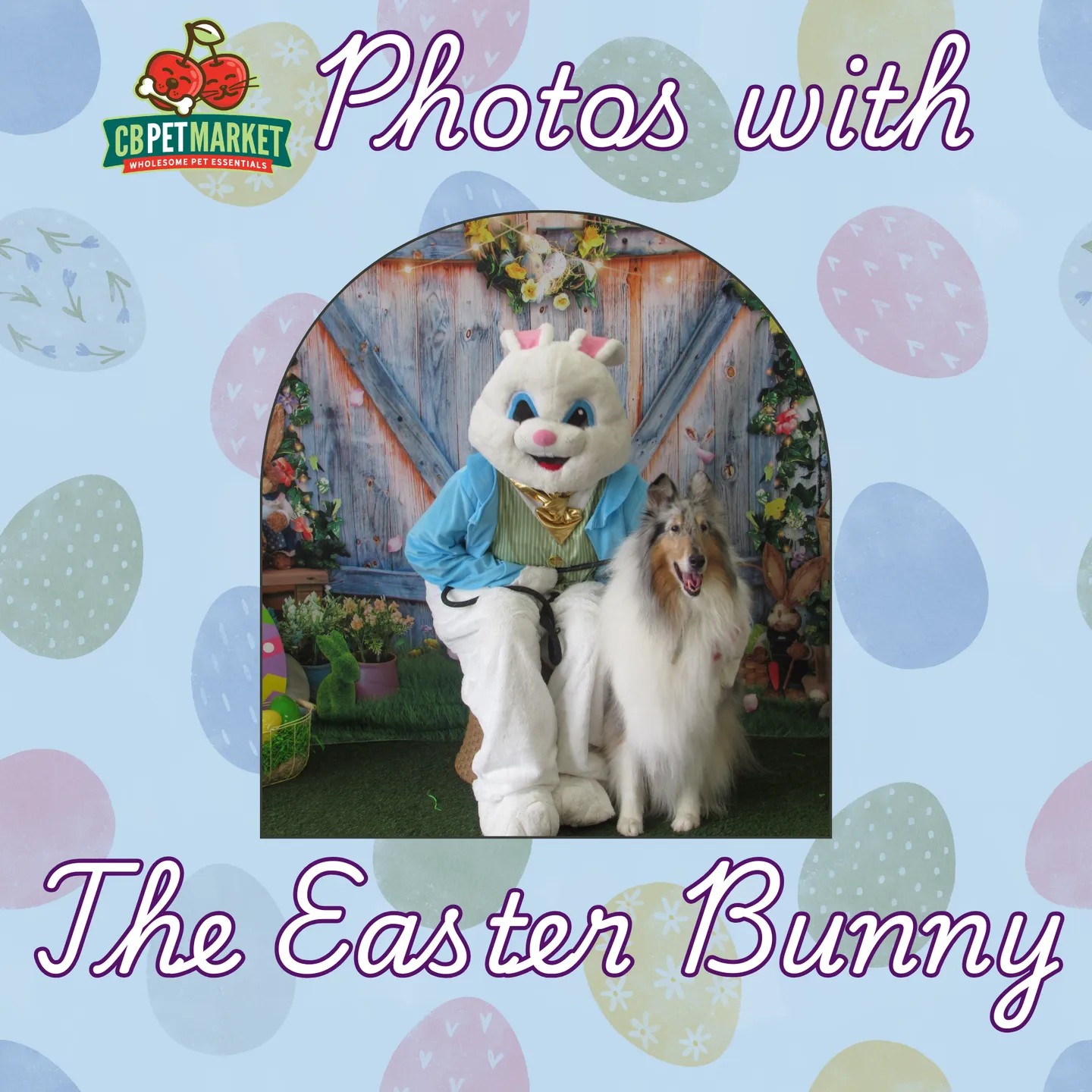 Image of Local Pet Event Photos with the Easter Bunny! Nearby