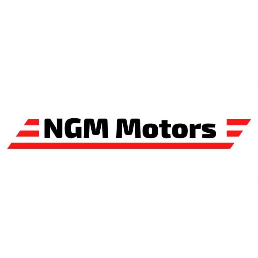 LOGO NGM Motors Trowbridge 01225 259838
