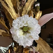 Images Clementines Boutique