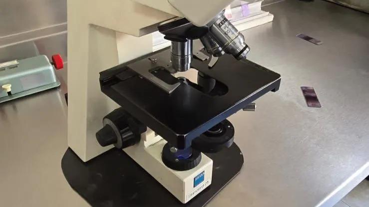 Images Labim Sa De Cv