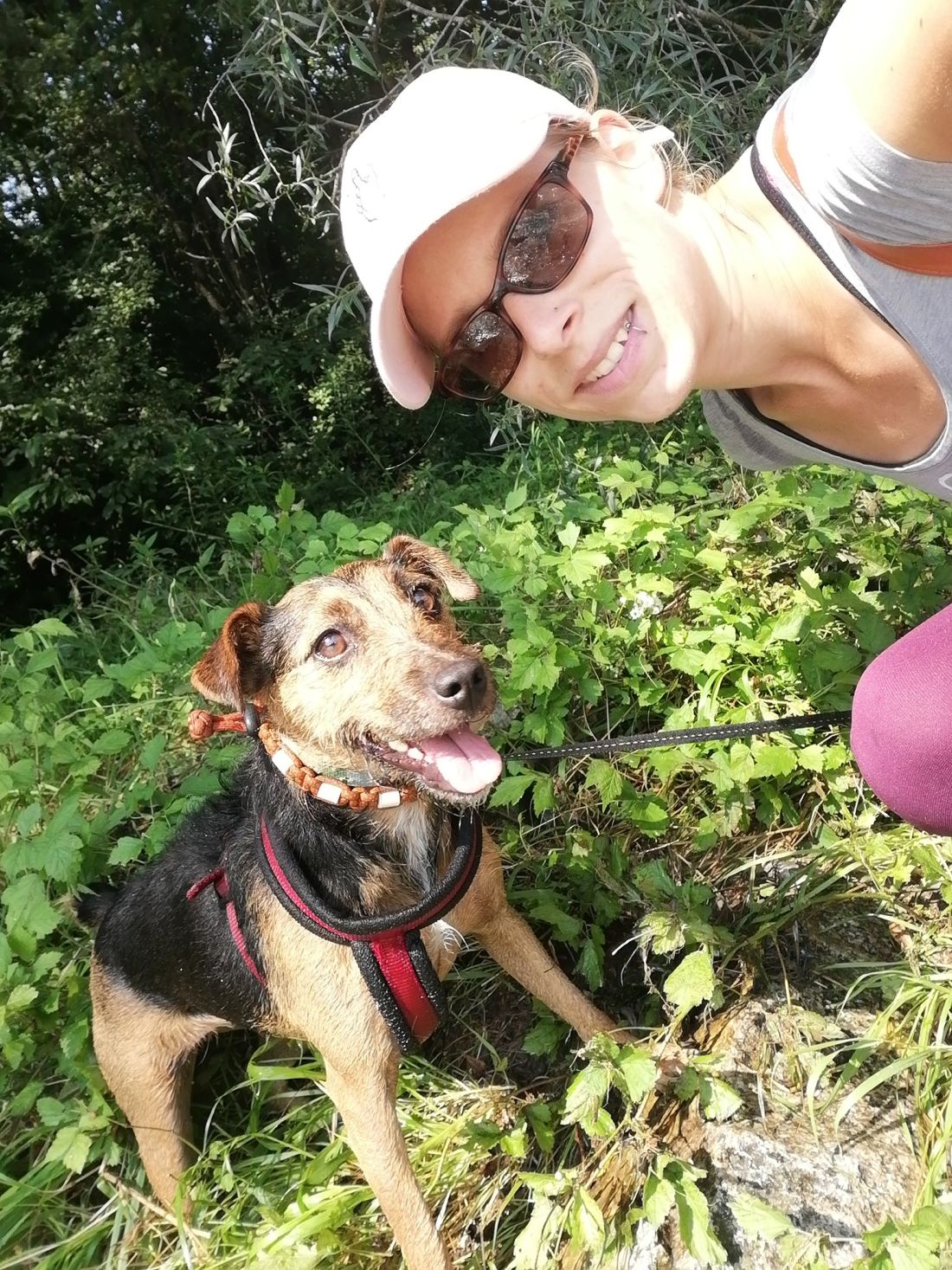 Bild 9 von Tanja Stieblehner - Ernährungstrainerin REICO VITAL - Spezialist für Hund, Katze und Mensch