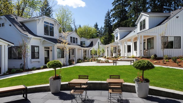 Images Canopy Cottages