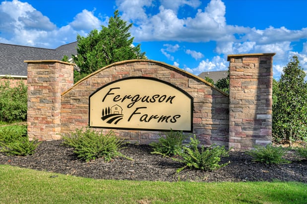 Images Ferguson Farms by Stanley Martin Homes