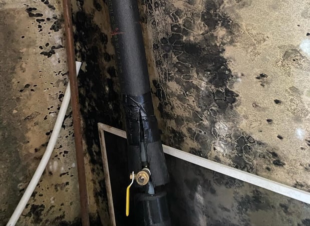 Images Voda Cleaning & Restoration