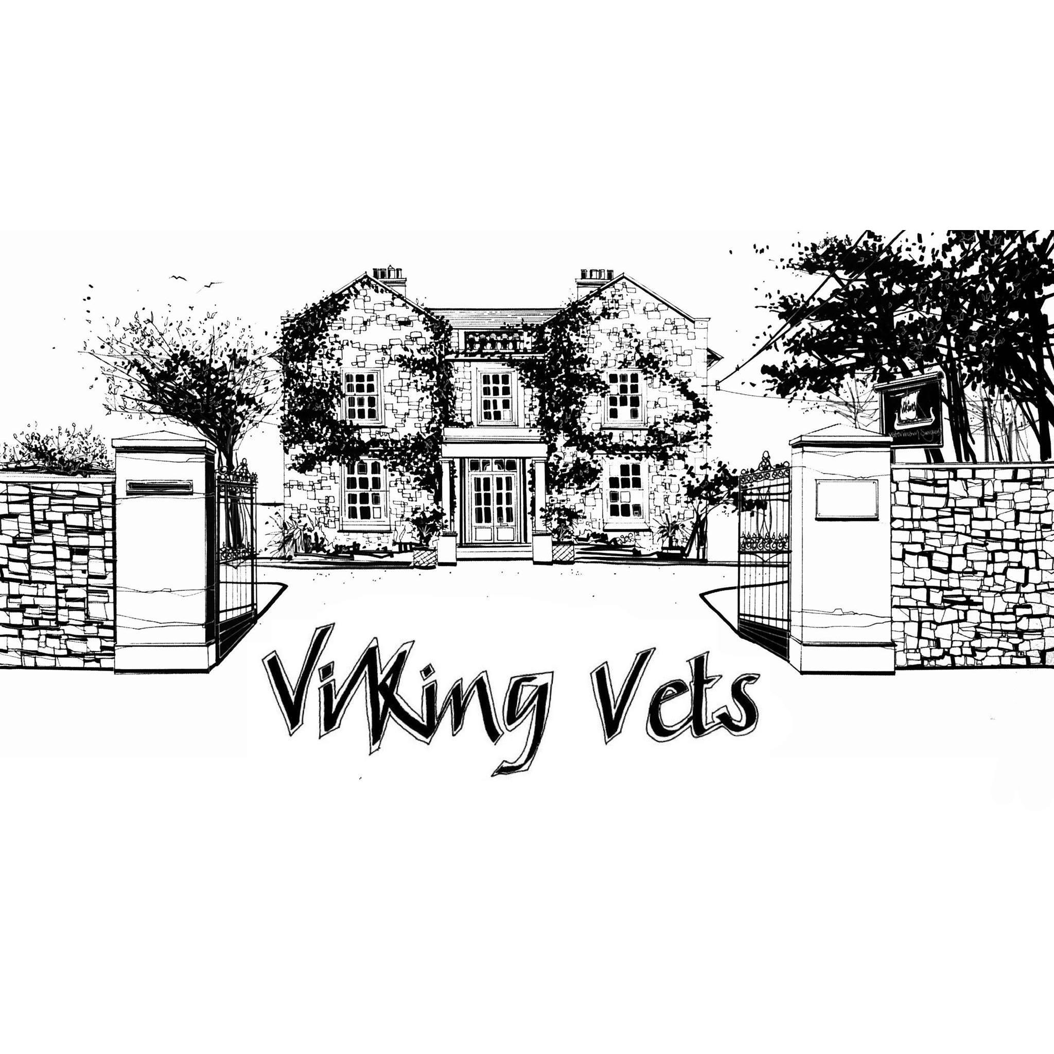 Viking Vets Logo
