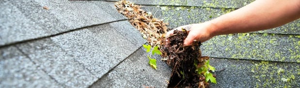 Images Roof Management Systems