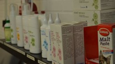 Images Karlskrona Djurklinik