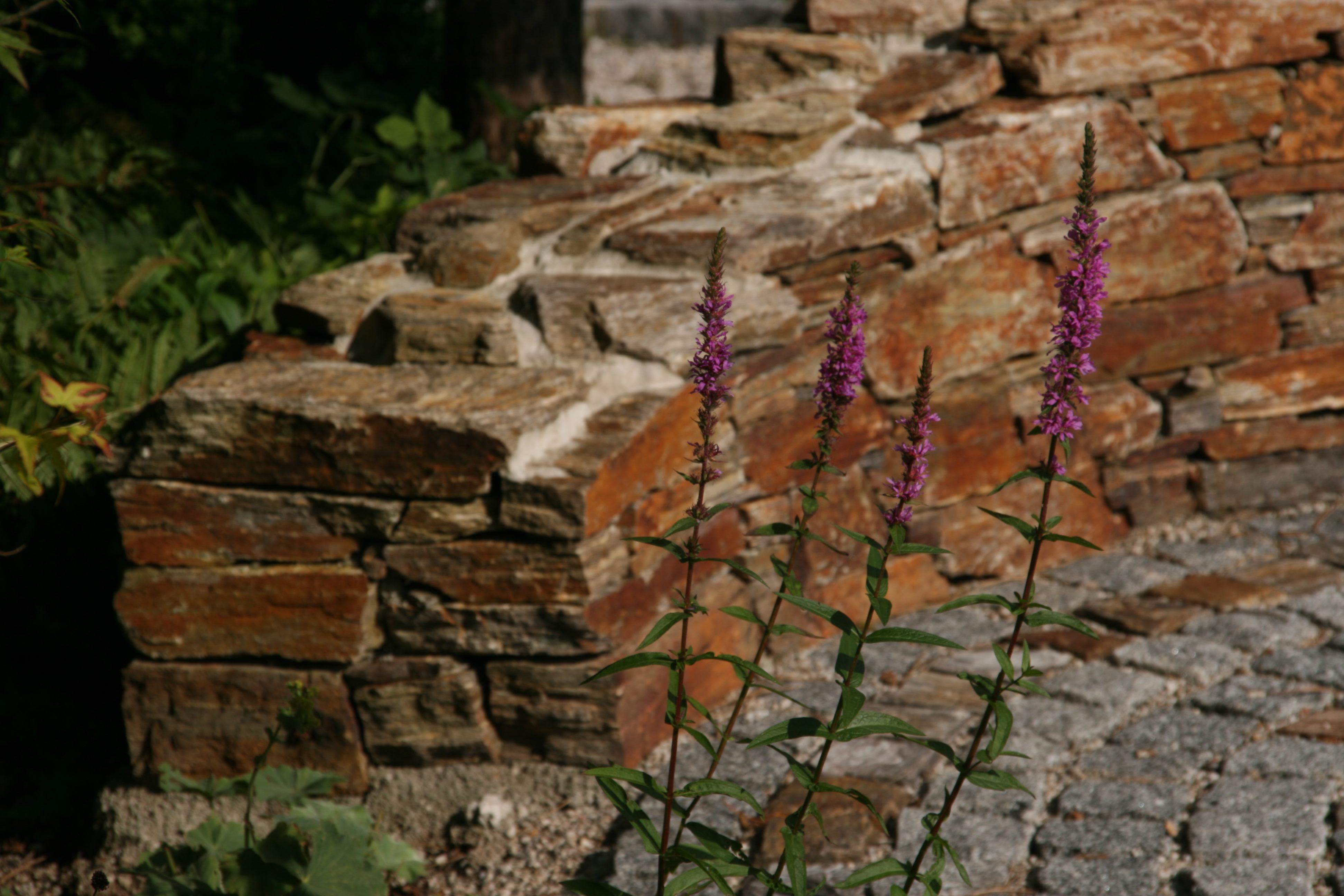 Bild 60 von Grün-Zone