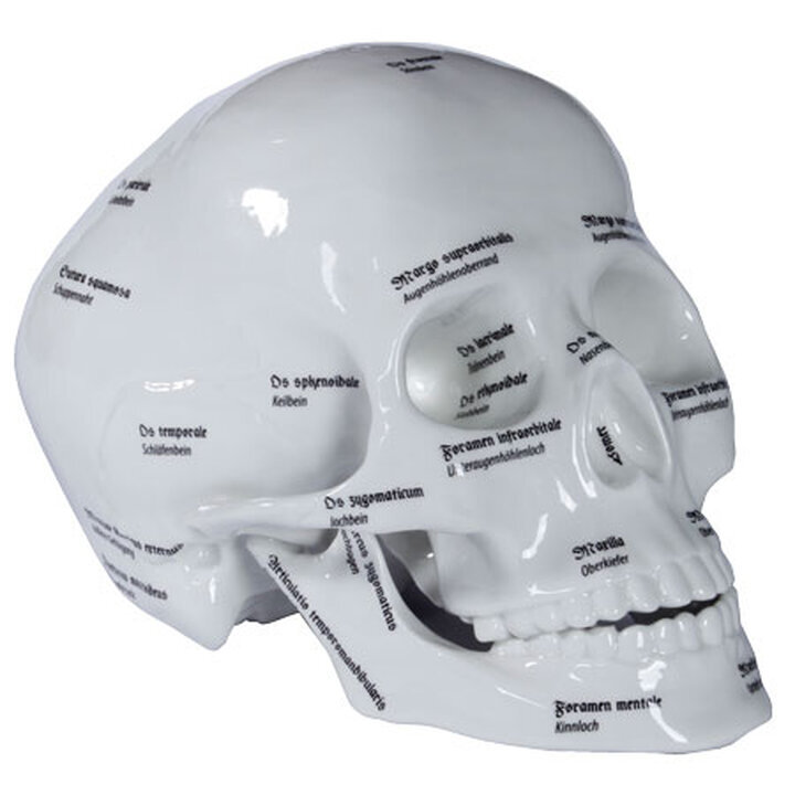 Bilder Porzellanmanufaktur Thomas Kämmer Inh Thomas Kämmer