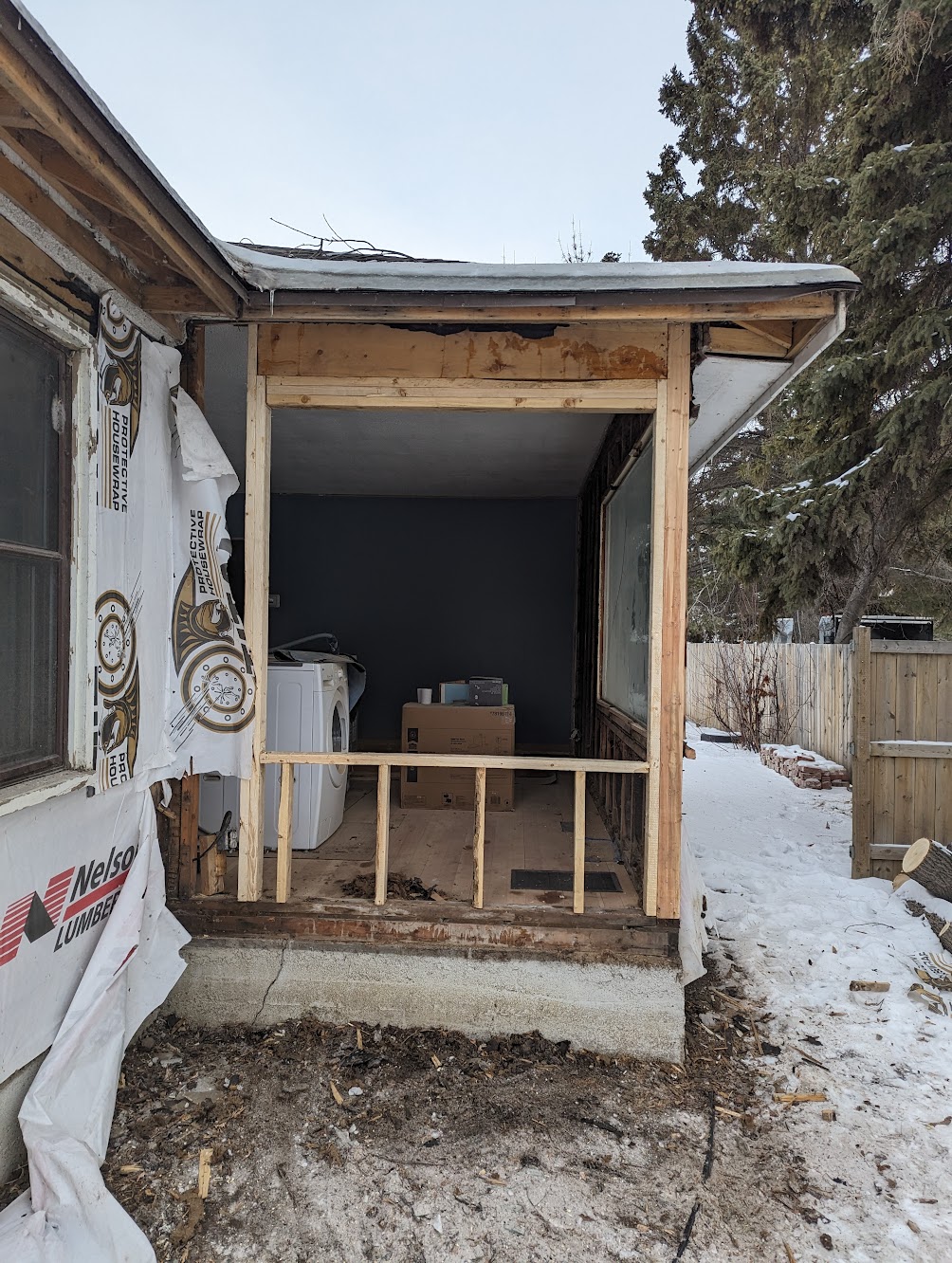Images The Blue Spruce Builder