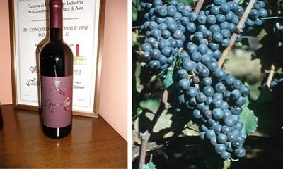 Images Cantine Daffara e Grasso