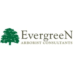 Evergreen Arborist Consultants Logo