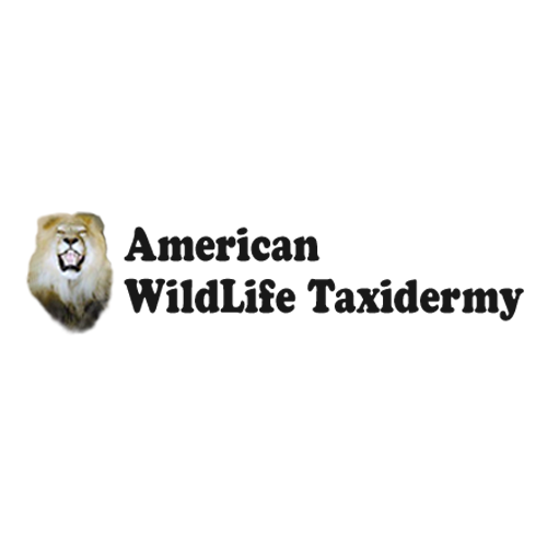 American Wild Life Taxidermy Logo