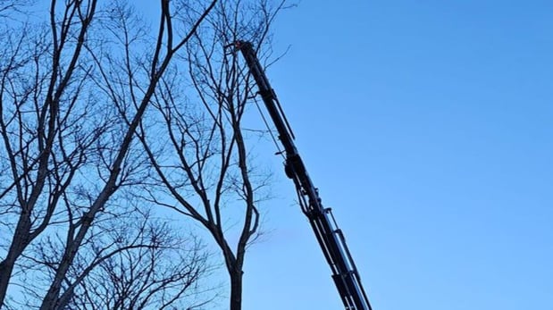 Images Jay's  Tree Service