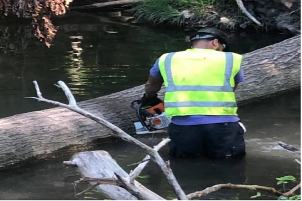 Images Timberland Tree Service