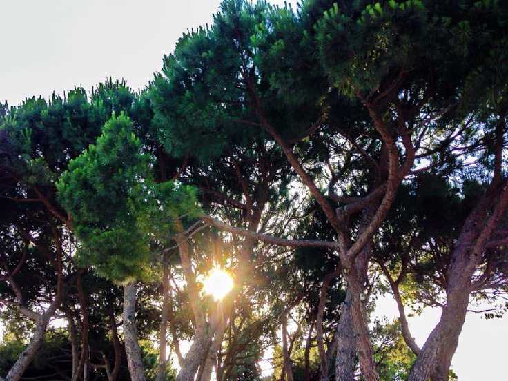 Images Bottino Appartamenti Vacanze