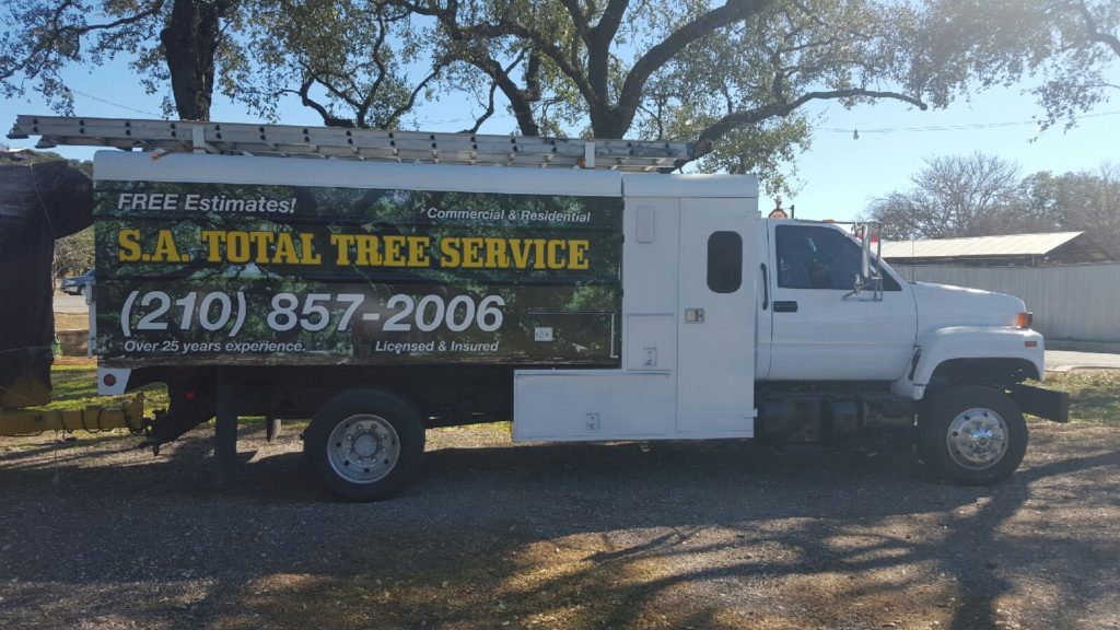 SA Total Tree Service Photo