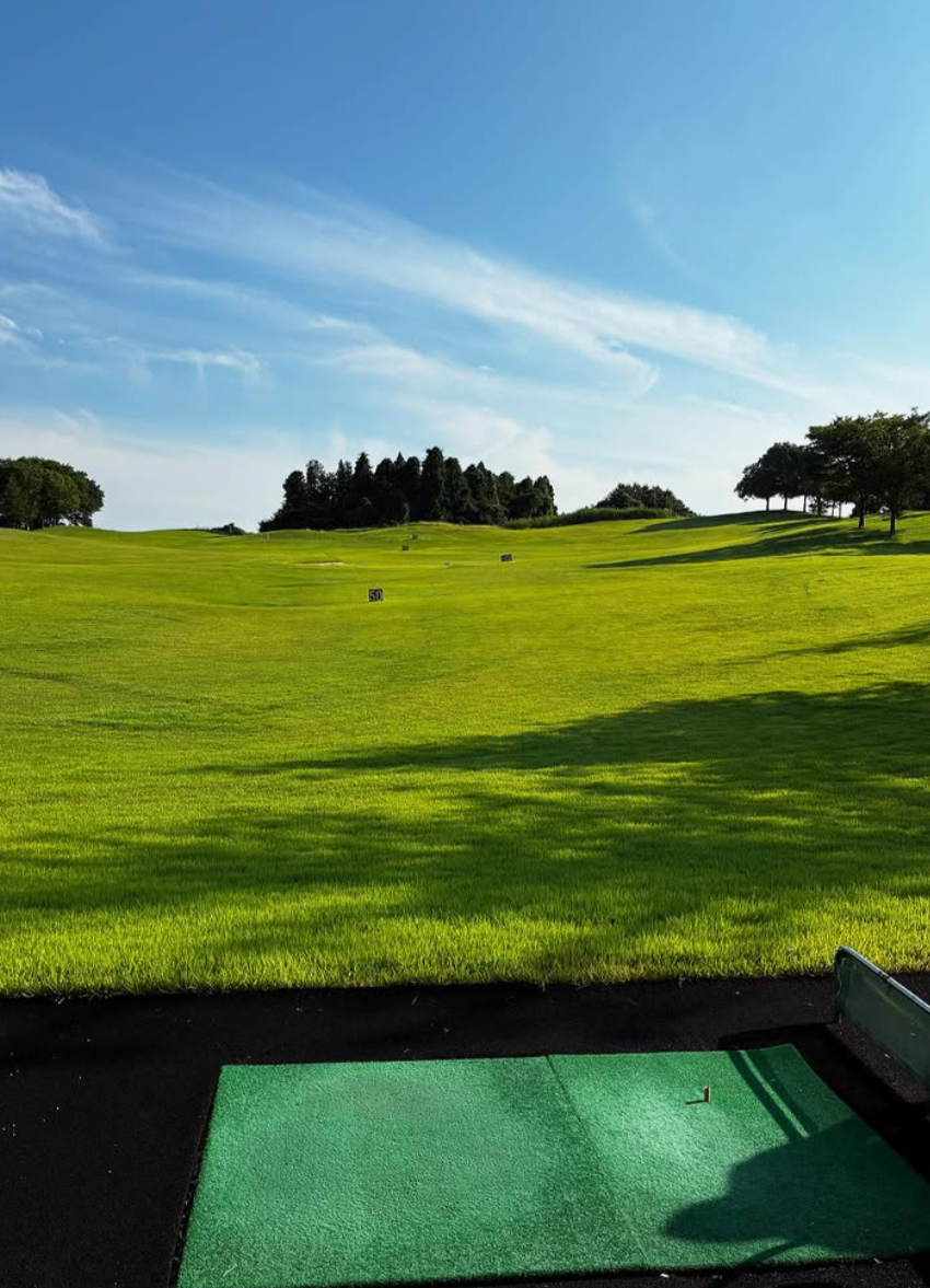 Images VZONEGOLF