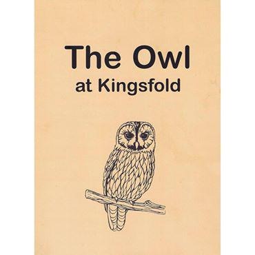 The Owl Logo