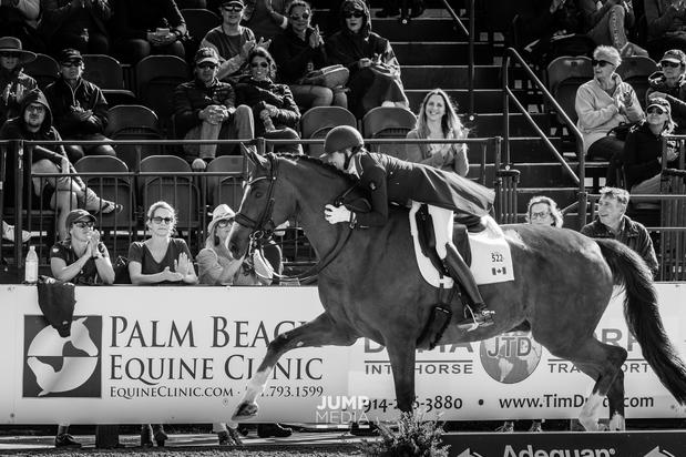 Images Palm Beach Equine Clinic