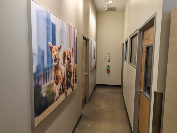 Images Vetco Total Care Animal Hospital