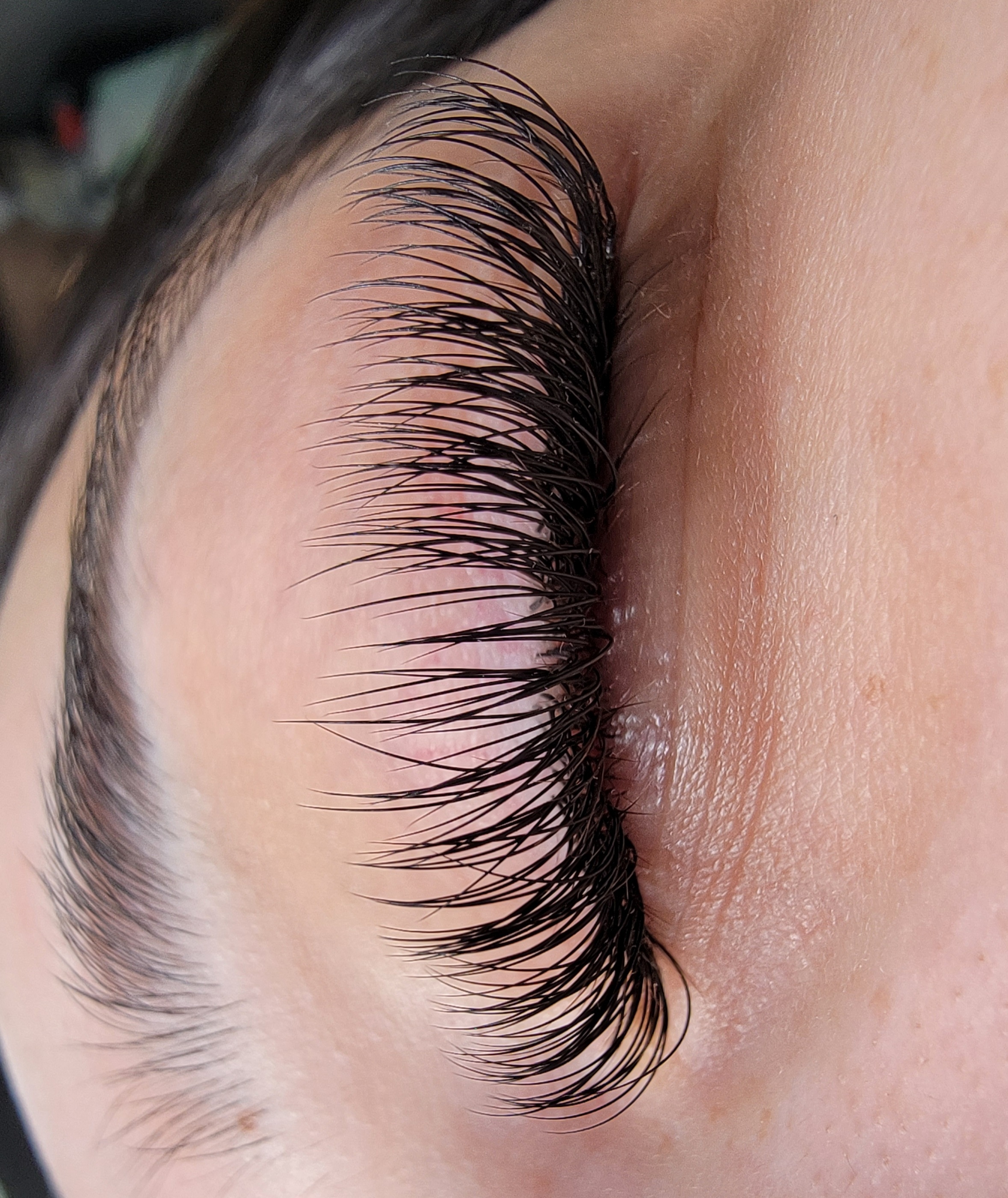 Images Lashista - Formation cils - Pose de cils - Produits de cils Longueuil