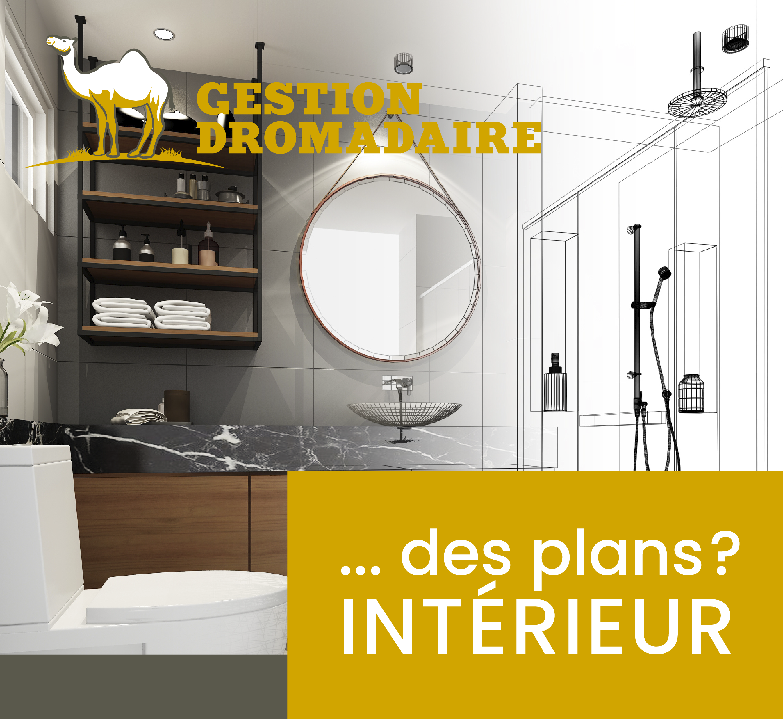 Images Gestion Dromadaire Inc