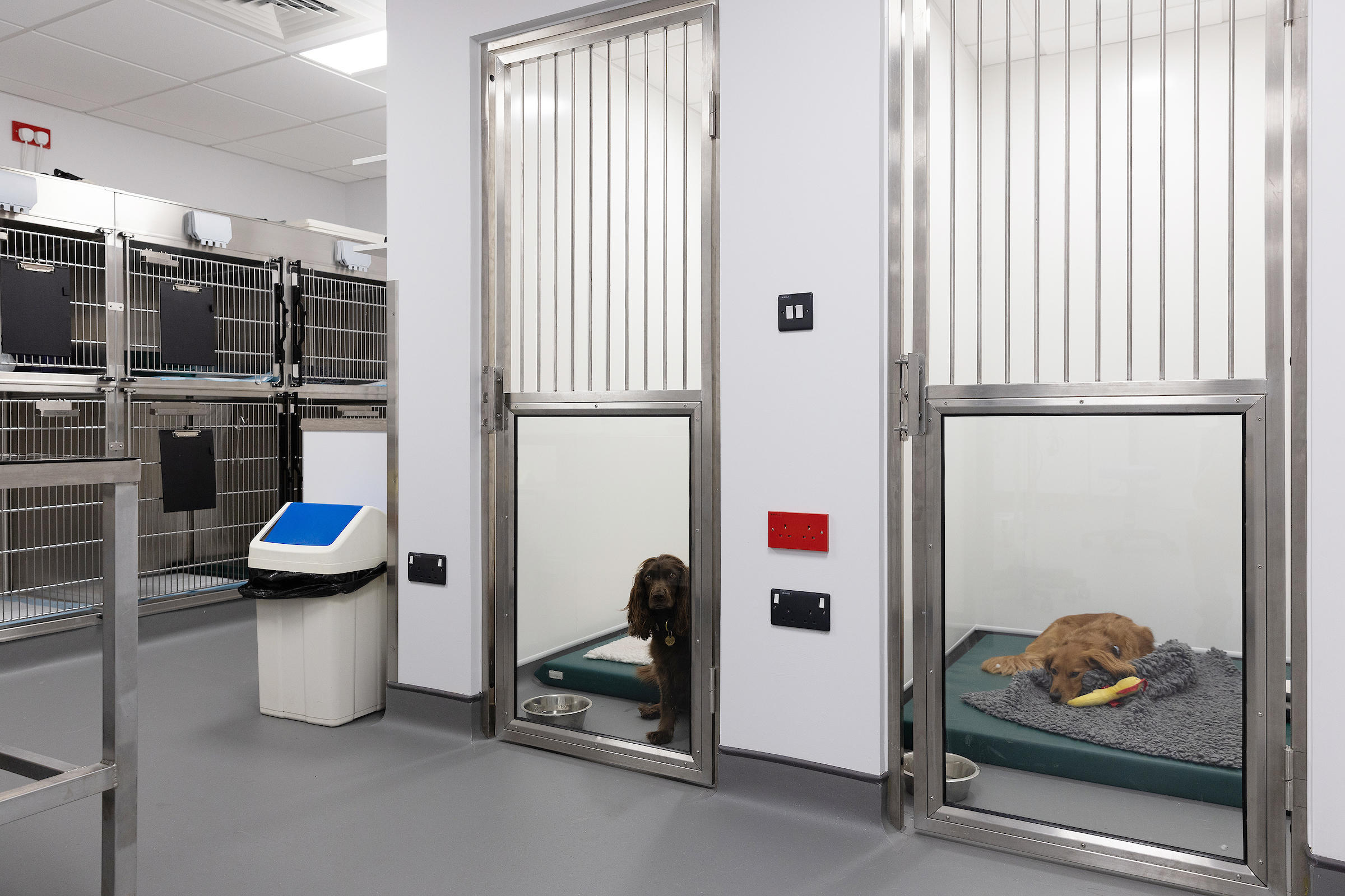 Large dog kennels Castle Veterinary Surgeons - Bishop Auckland Bishop Auckland 01388 450700