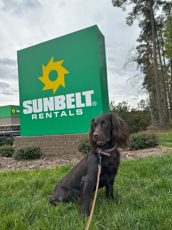 Images Sunbelt Rentals