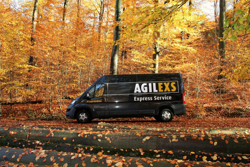 Bild 17 AGILEXS Agil Express Service GmbH in Bad Bergzabern