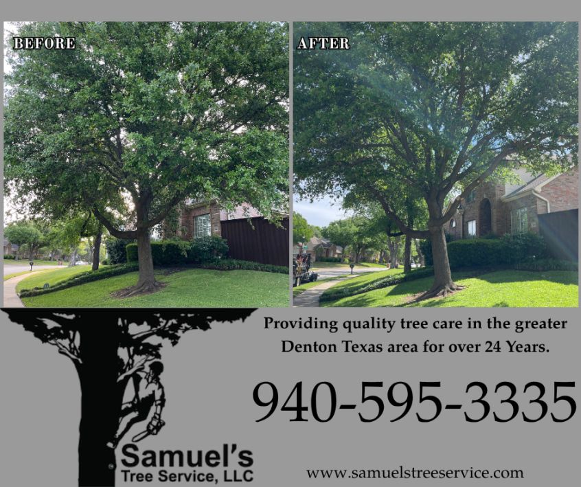 Denton Tree Trimming 
