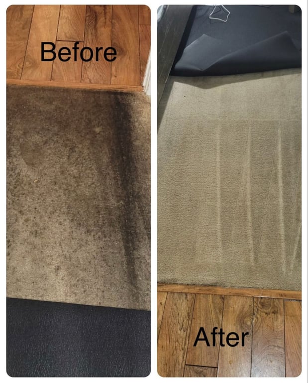 Images Universal Cleaning Carpet and Floor Care Inc