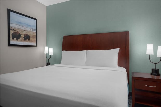 Images Hilton Garden Inn Denver Downtown