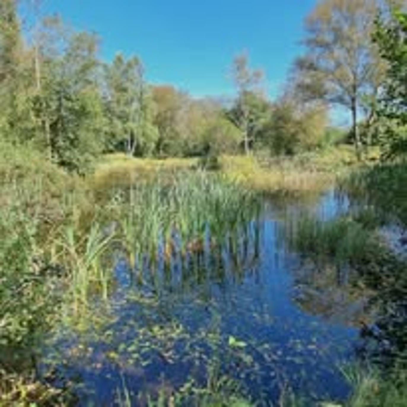 Images Peter Hoe Ejendomme