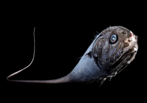 3-20-2026 Spare time 2.png