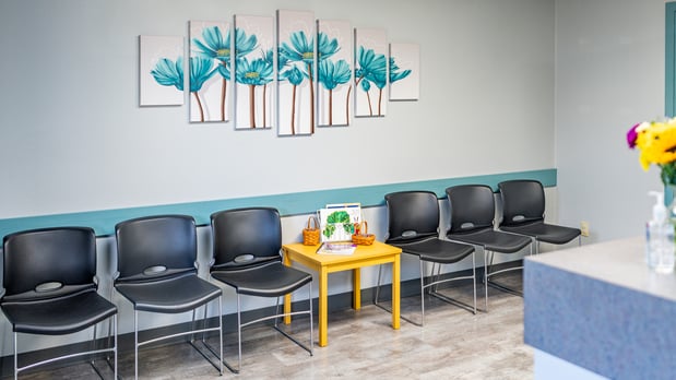Images Gentle Dental Albany Childrens