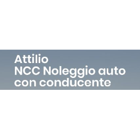Ncc Noleggio Auto con Conducente Pavia Logo