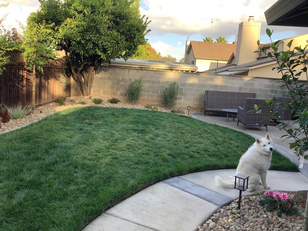 Images The Good Earth Works Landscape Company