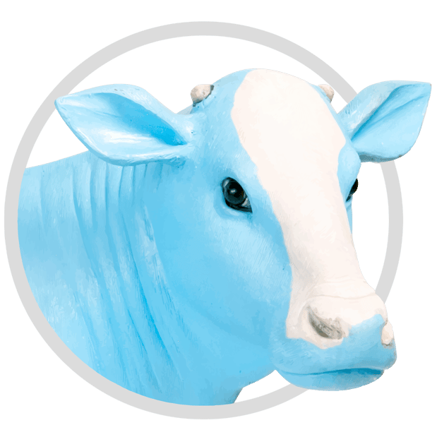 Images Mendocino Farms