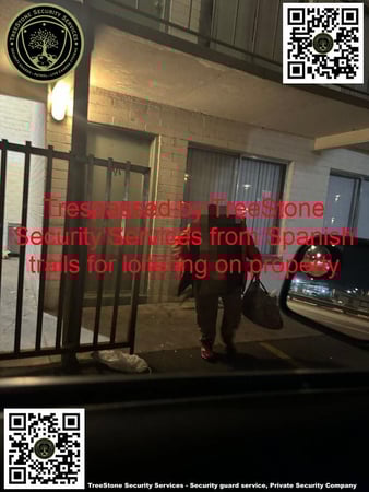 Images TreeStone Security Services