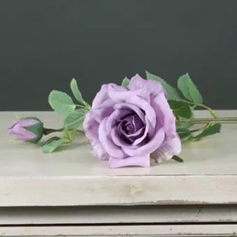 Images Village Green Wholesale Ltd