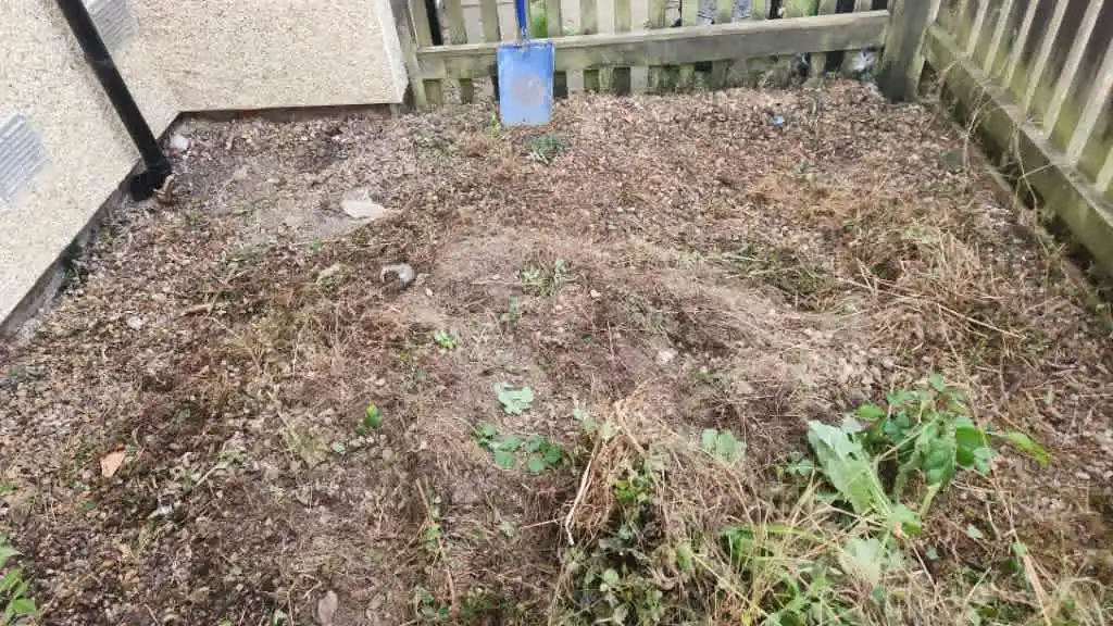 Images Master Moves Man & Van