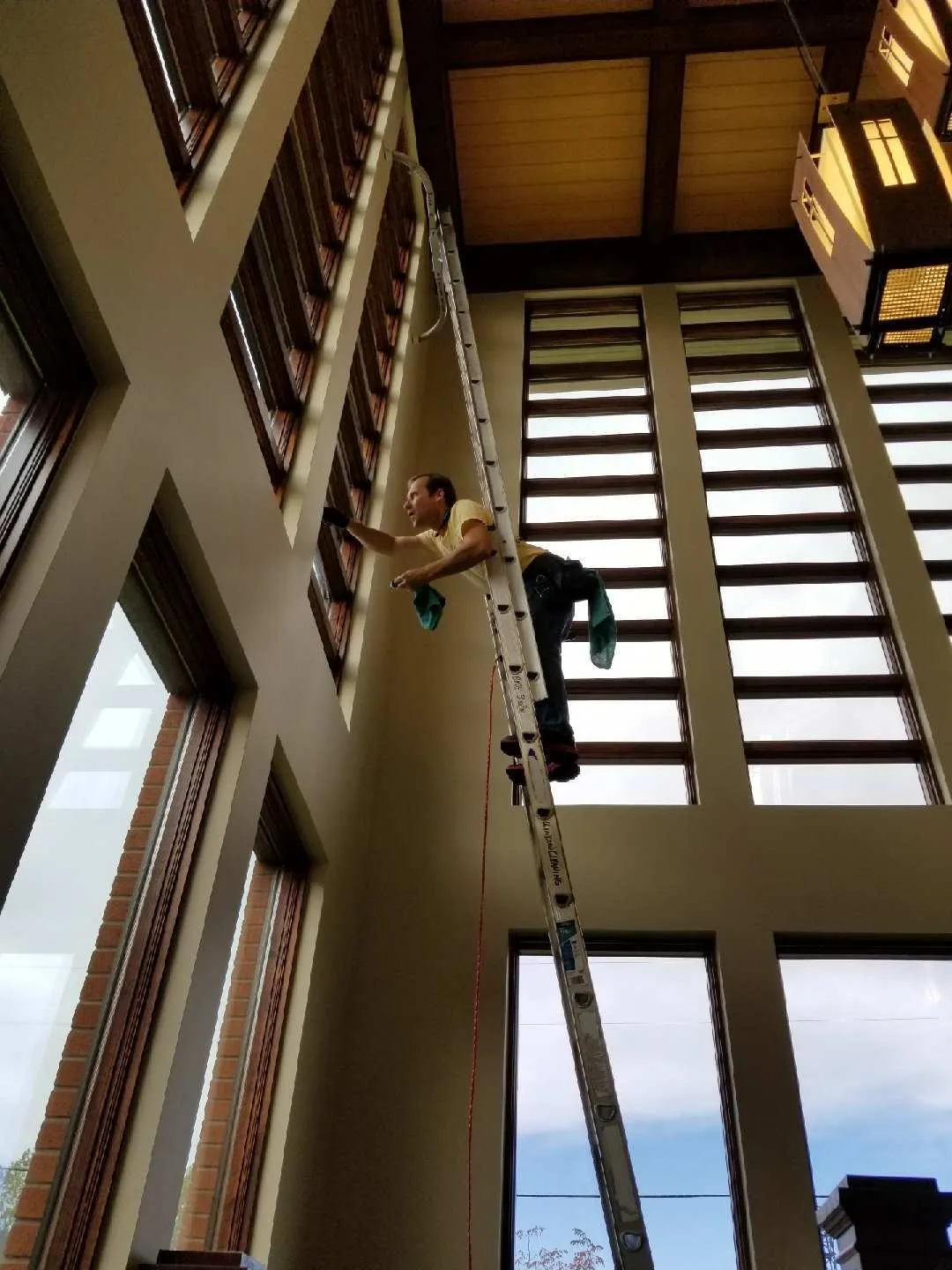 Busy B Window Cleaning Image