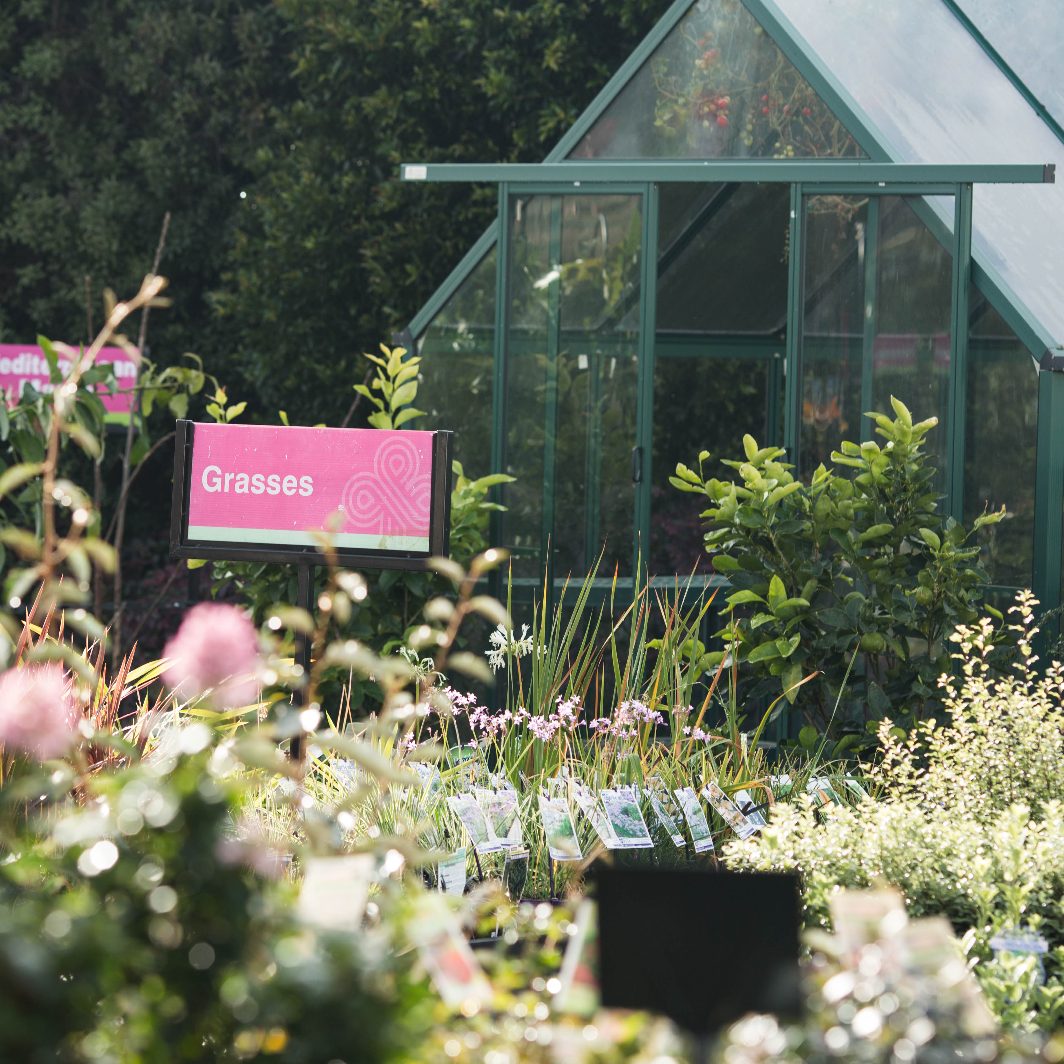 Images Stoneman's Garden Centre